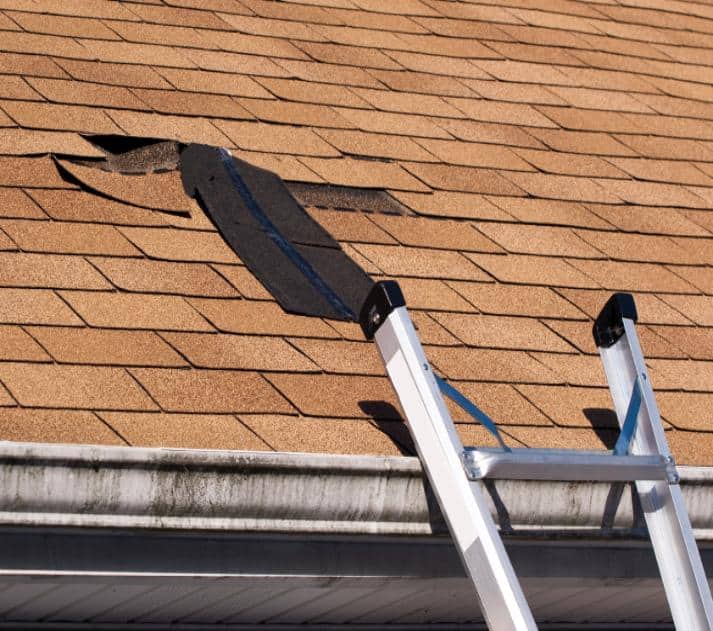 Roofing-service-sussex